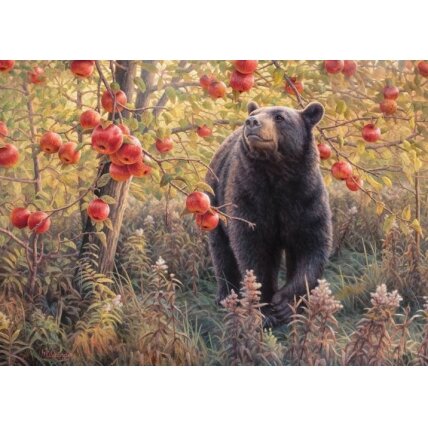 Cobble Hill puzzle - Den Dreams, 500 pcs. 1 Cobble Hill puzzle - Den Dreams, 500 pcs. 1