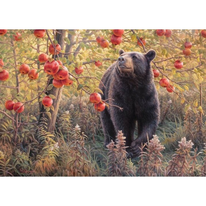 Cobble Hill puzzle - Den Dreams, 500 pcs. 1 Cobble Hill puzzle - Den Dreams, 500 pcs. 1