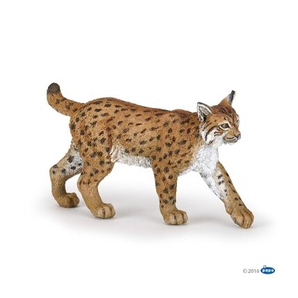 Lynx Lynx