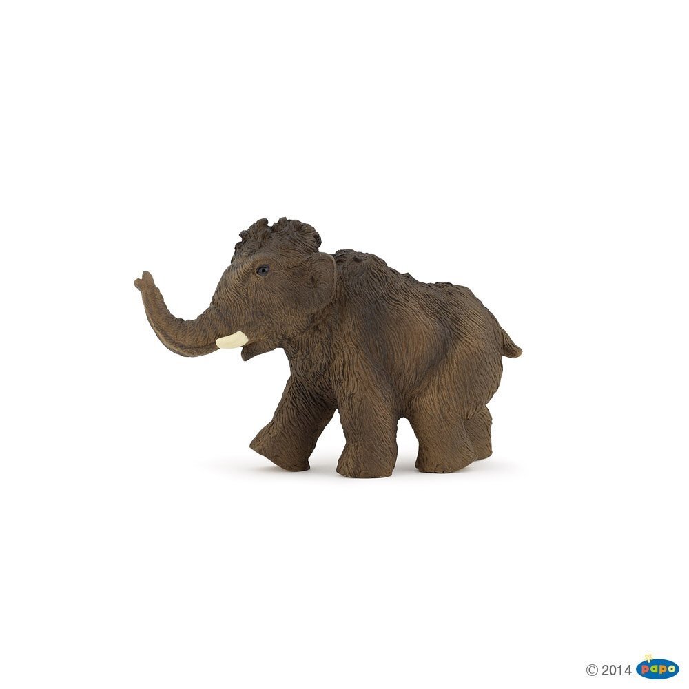 Young mammoth Young mammoth