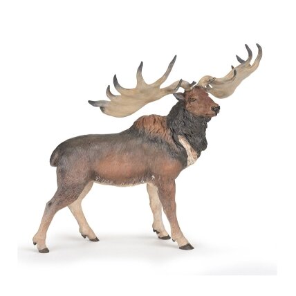 Megaloceros Megaloceros