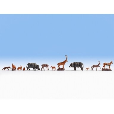 Forest Animals