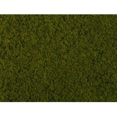 Foliage