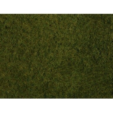 Wild Grass Foliage