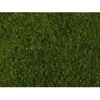 Meadow Foliage