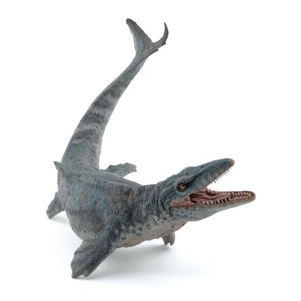 Mosasaurus Mosasaurus