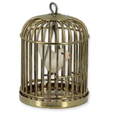 Bird Cage