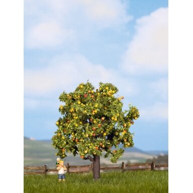Apple Tree