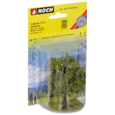 Apple Tree