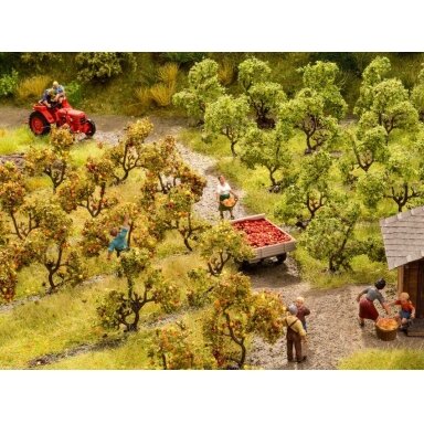 Plantation trees with apples, 12 pcs.