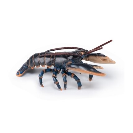 Lobster Lobster
