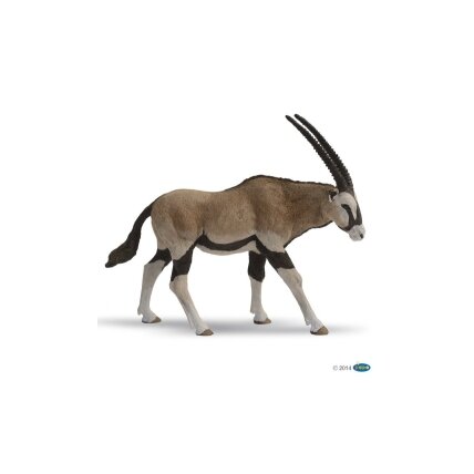 Oryx Antelope Oryx Antelope