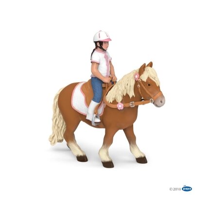 Shetland pony with saddle Shetland pony with saddle