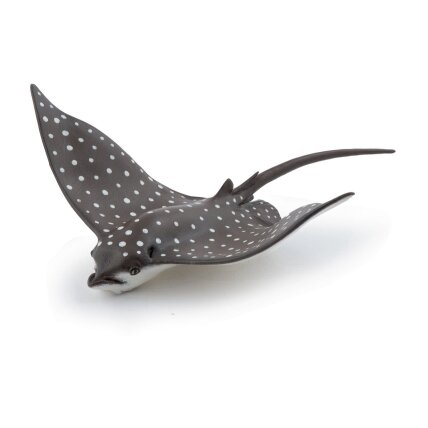 Spotted eagle ray Spotted eagle ray