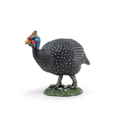 Guinea fowl Guinea fowl