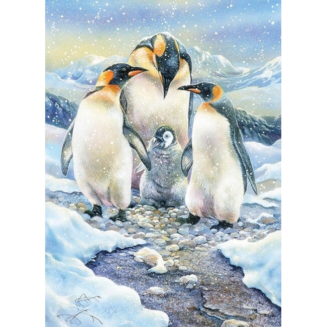 Cobble Hill puzzle - Penguin Family, 350 pcs. 1 Cobble Hill puzzle - Penguin Family, 350 pcs. 1
