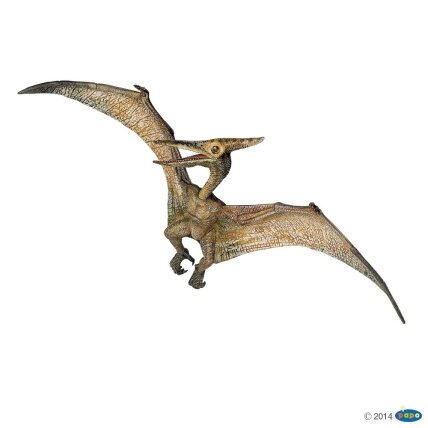 Pteranodon Pteranodon