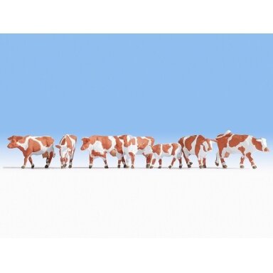 Cows, brown-white