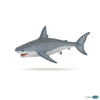 White shark White shark