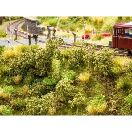 Embankment Vegetation Embankment Vegetation