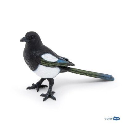 Magpie Magpie