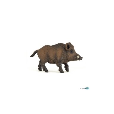 Wild boar