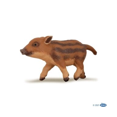 Young wild boar