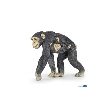 Chimpanzee and baby