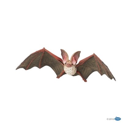 Bat Bat