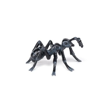 Ant
