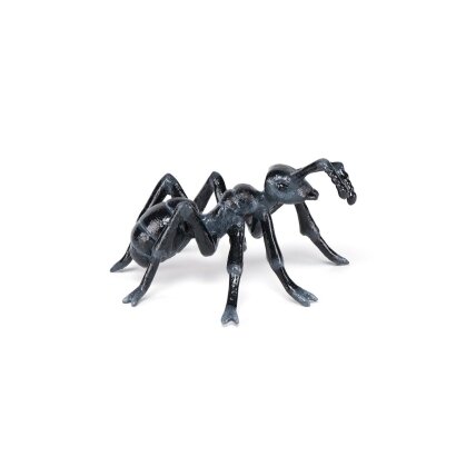 Ant Ant