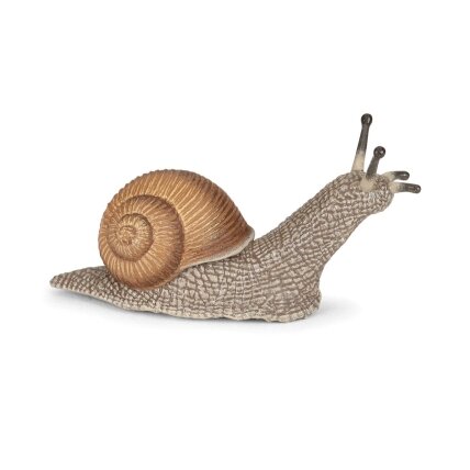 Snail figure Snail figure
