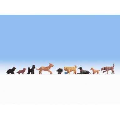 Dogs