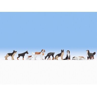 Dogs