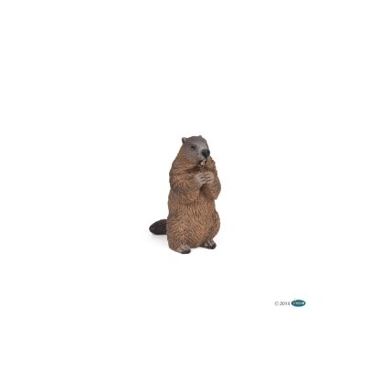 Marmot Marmot