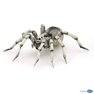 Tarantula