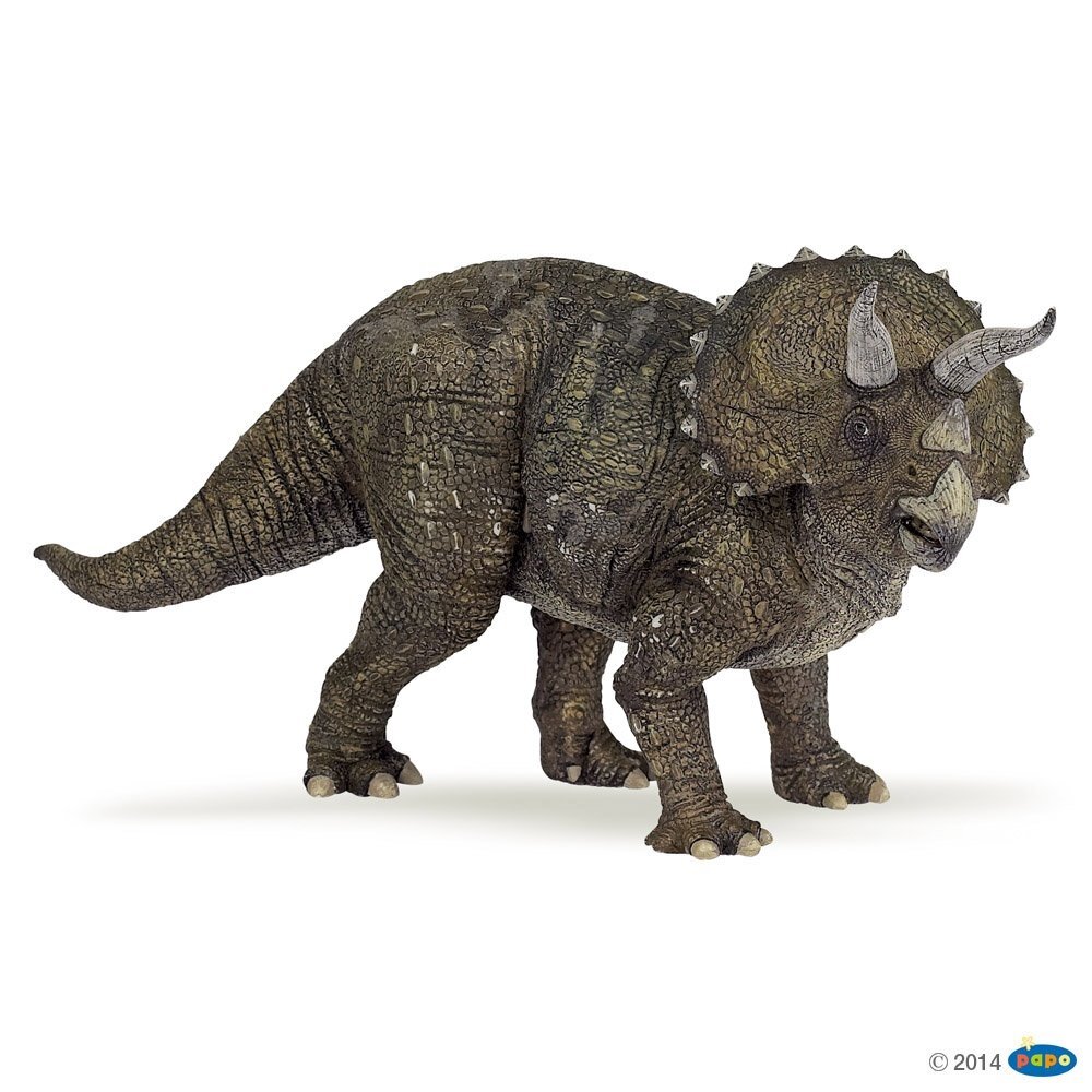Triceratops Triceratops