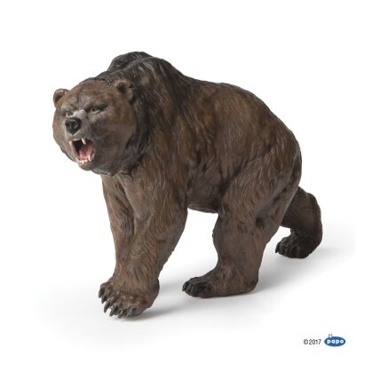 Cave bear Cave bear