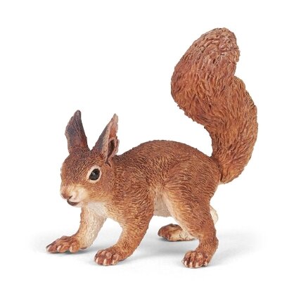 Squirrel Squirrel