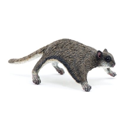Flying squirrel Flying squirrel