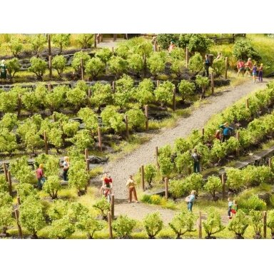 Vines