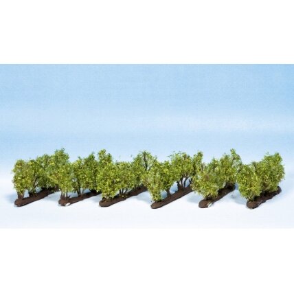 Vines 1 Vines 1