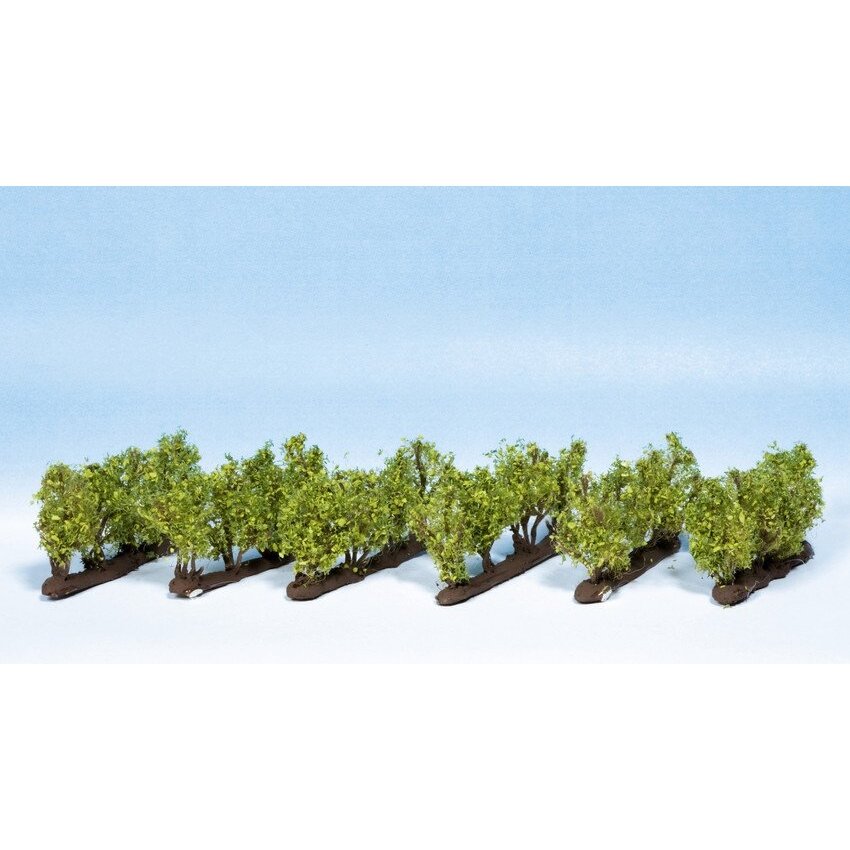 Vines 1 Vines 1