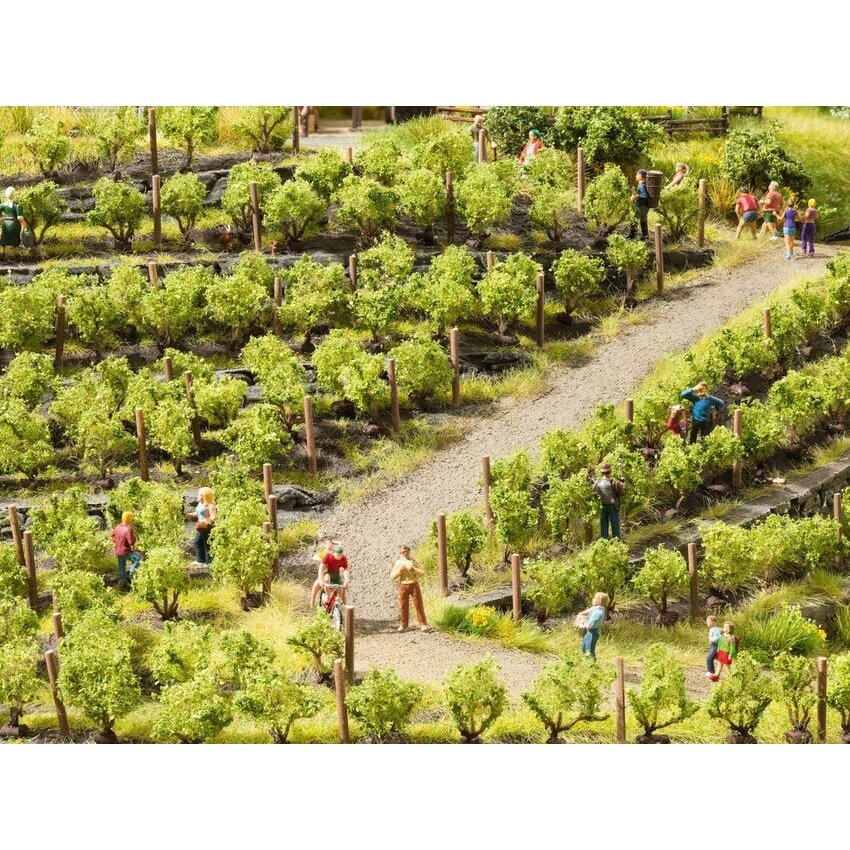 Vines Vines