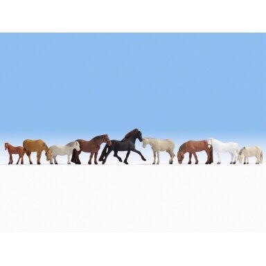 Horses