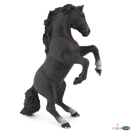 Black reared up horse Black reared up horse