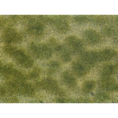 Groundcover Foliage