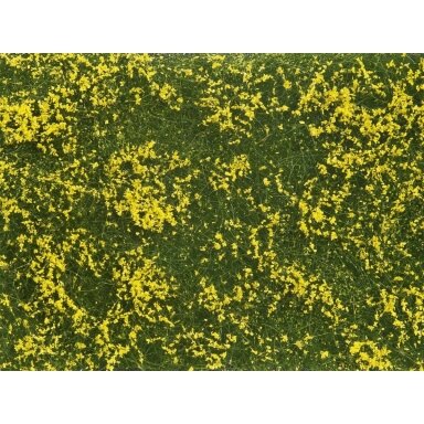 Groundcover Foliage meadow