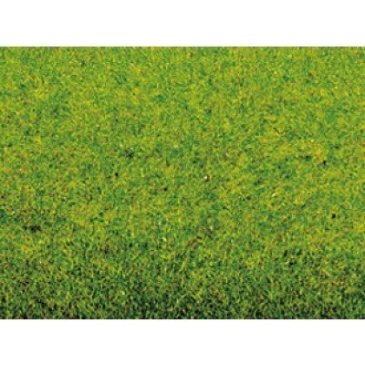 Grass Mat Spring Meadow 2