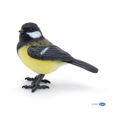 European Tit